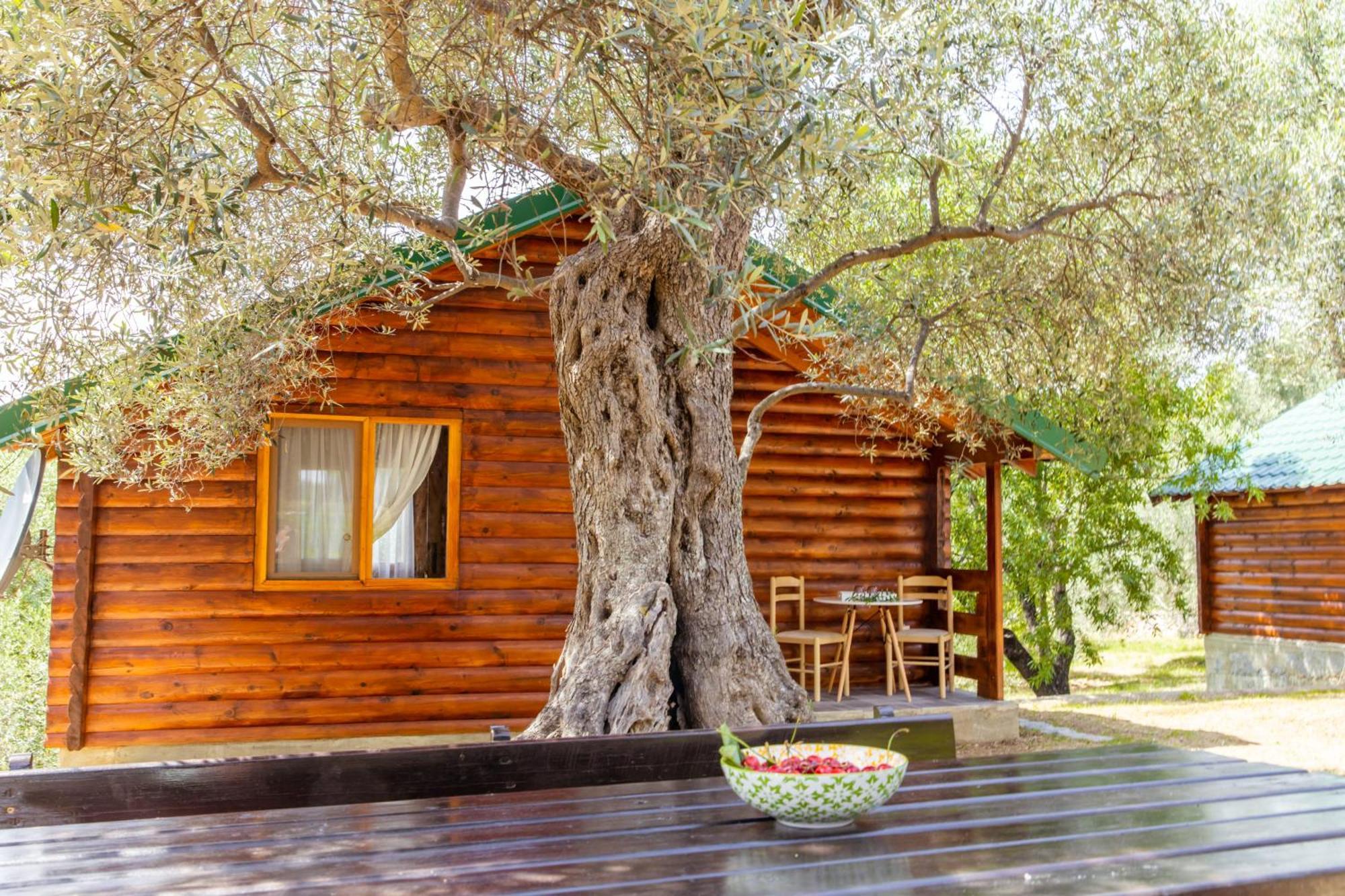 Katana Village Apartment Ulcinj Eksteriør bilde